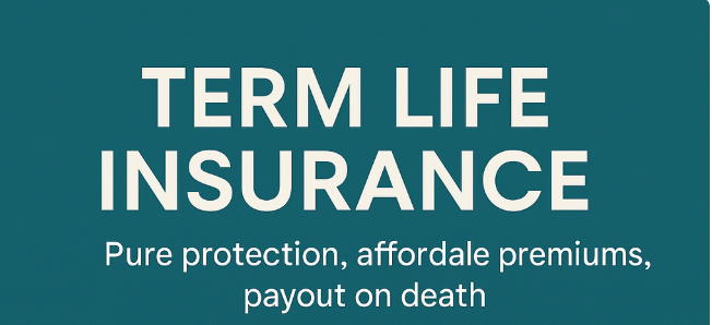 Term Life Insurance