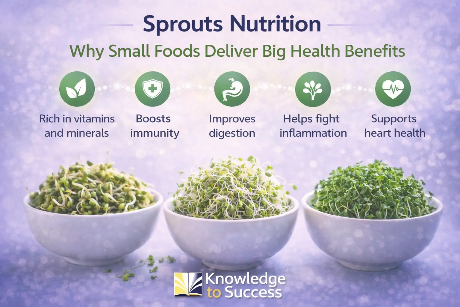 Sprouts Options Sprouts Nutrition: Why Small Food Deliver Big Health Benefit
