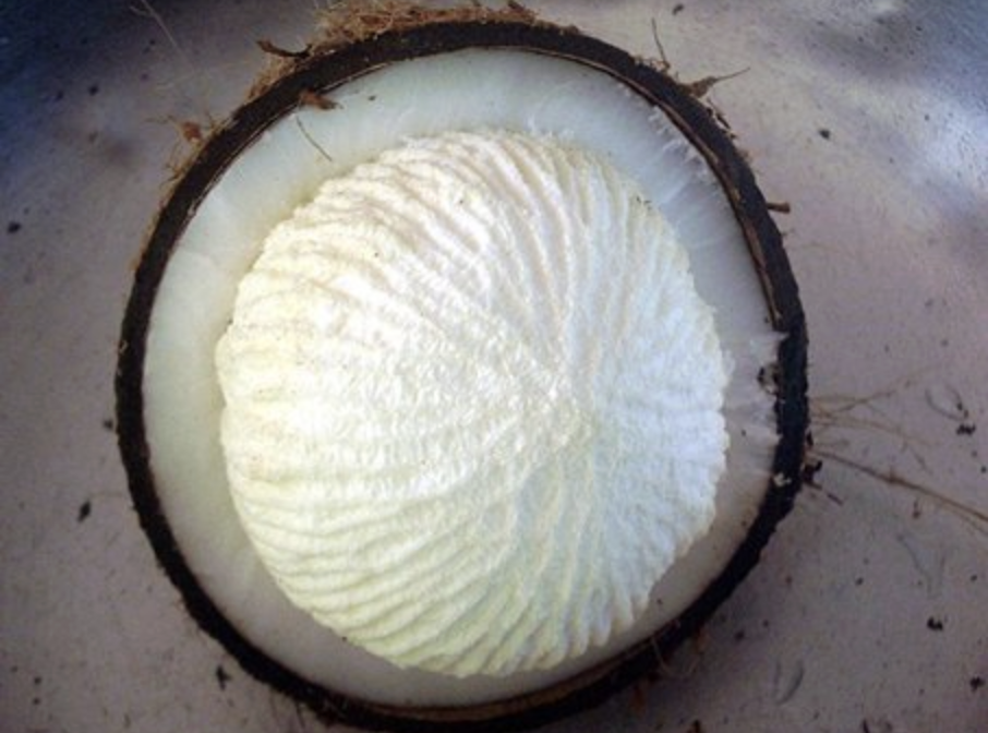 coconut apple