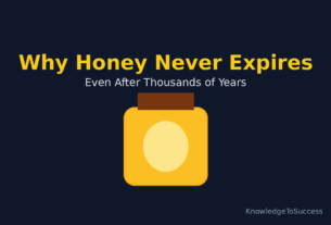 Honey never expires. Discover the science behind why honey lasts thousands of years and how ancient honey was found still edible.